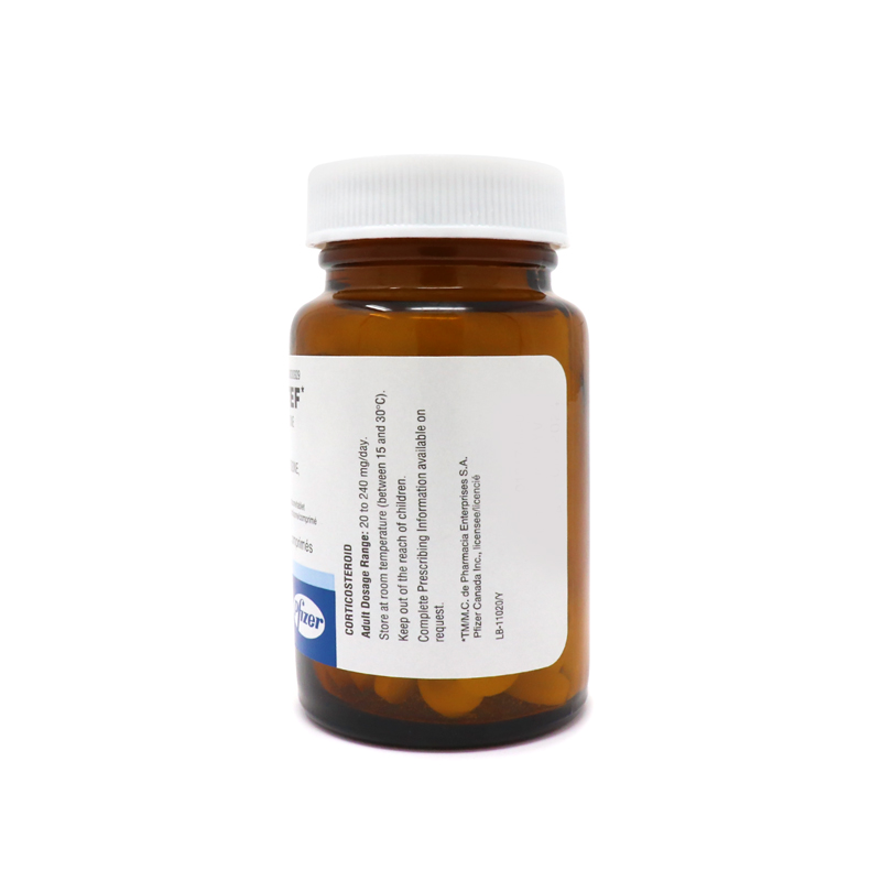 Cortef (Hydrocortisone)